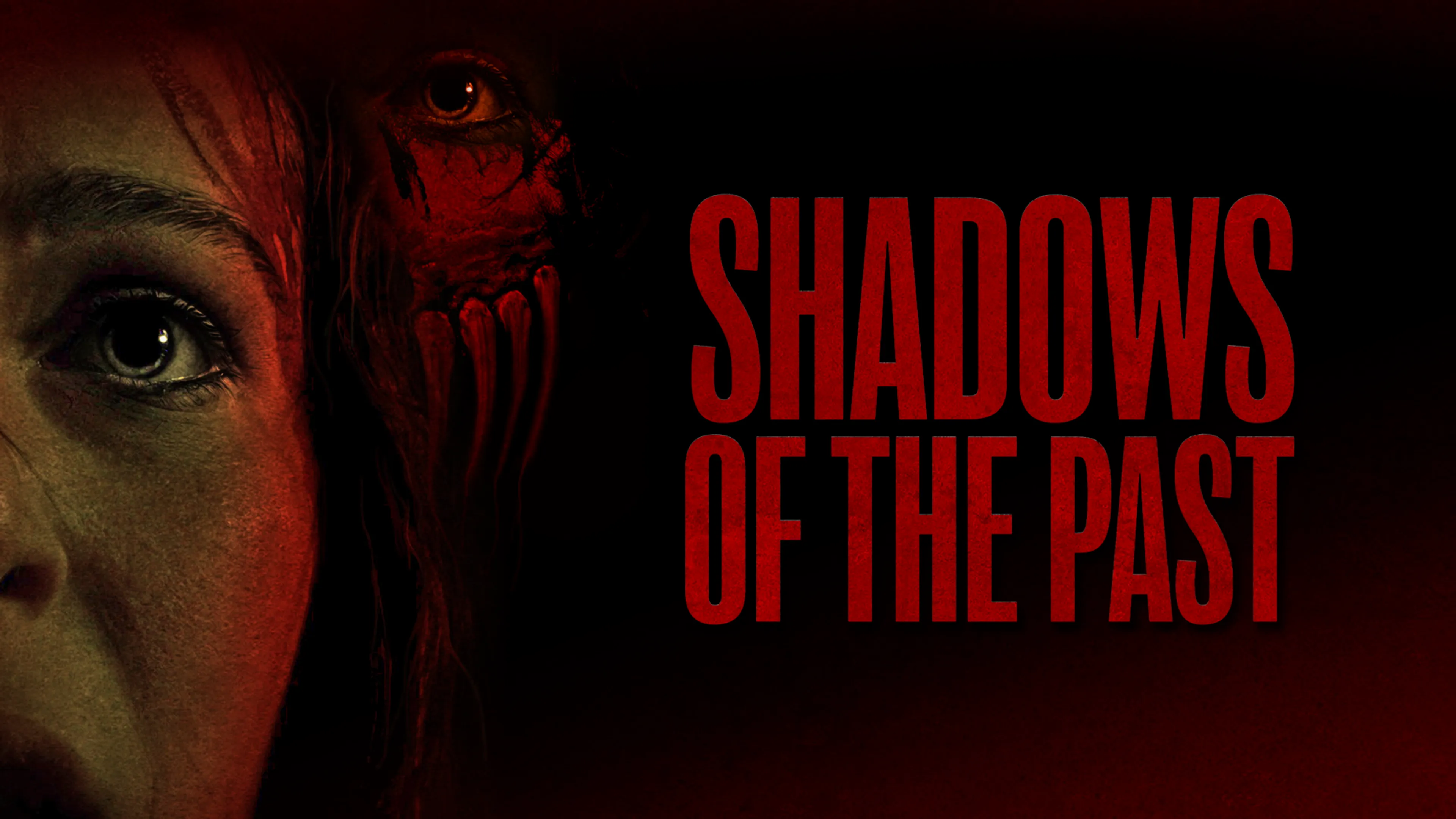 Shadows Of The Past poster